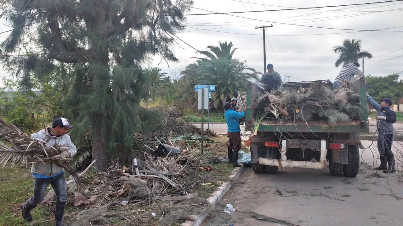Imagen adicional