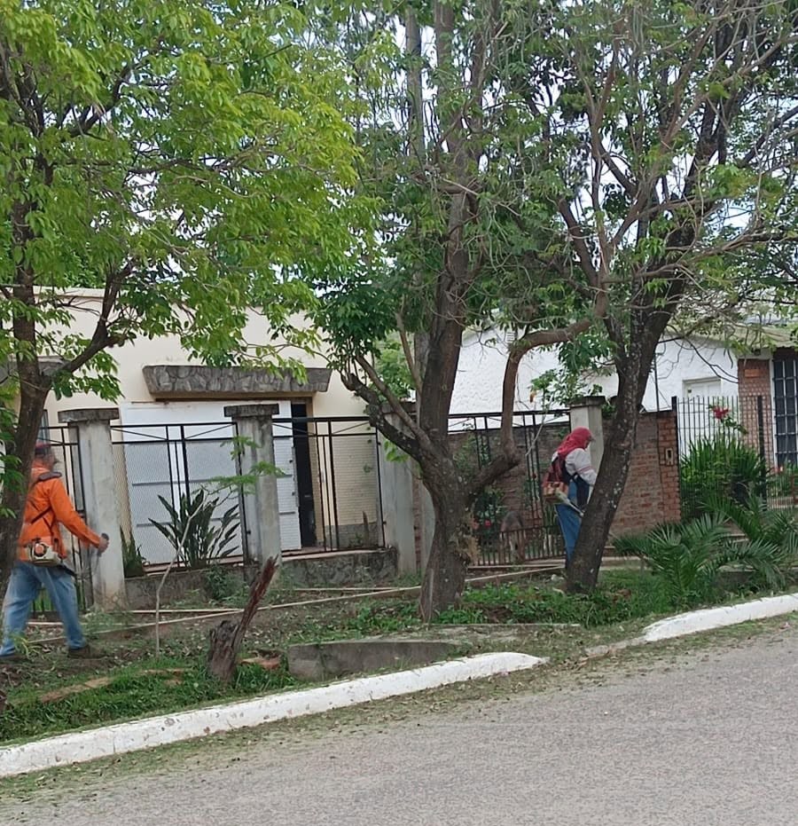 Imagen adicional