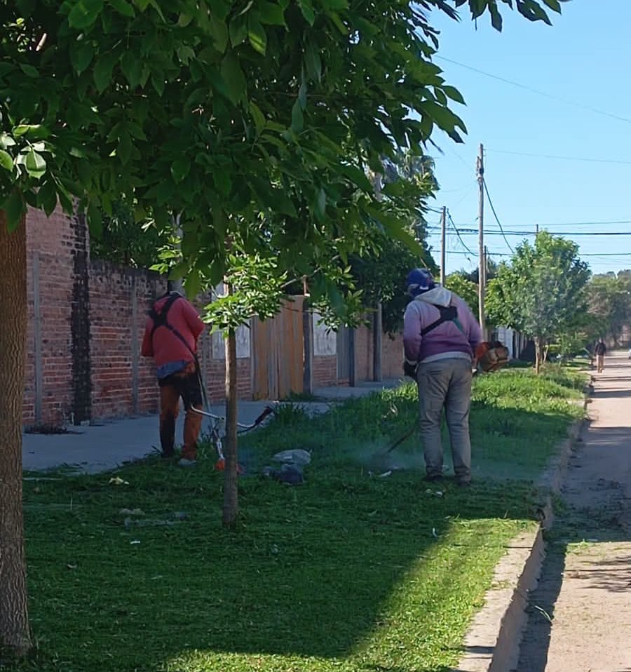 Imagen adicional