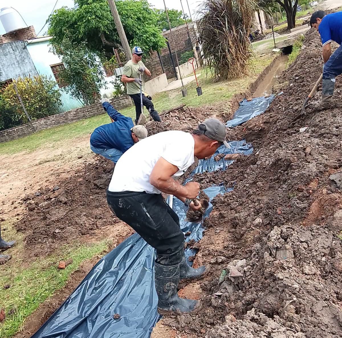 Imagen adicional